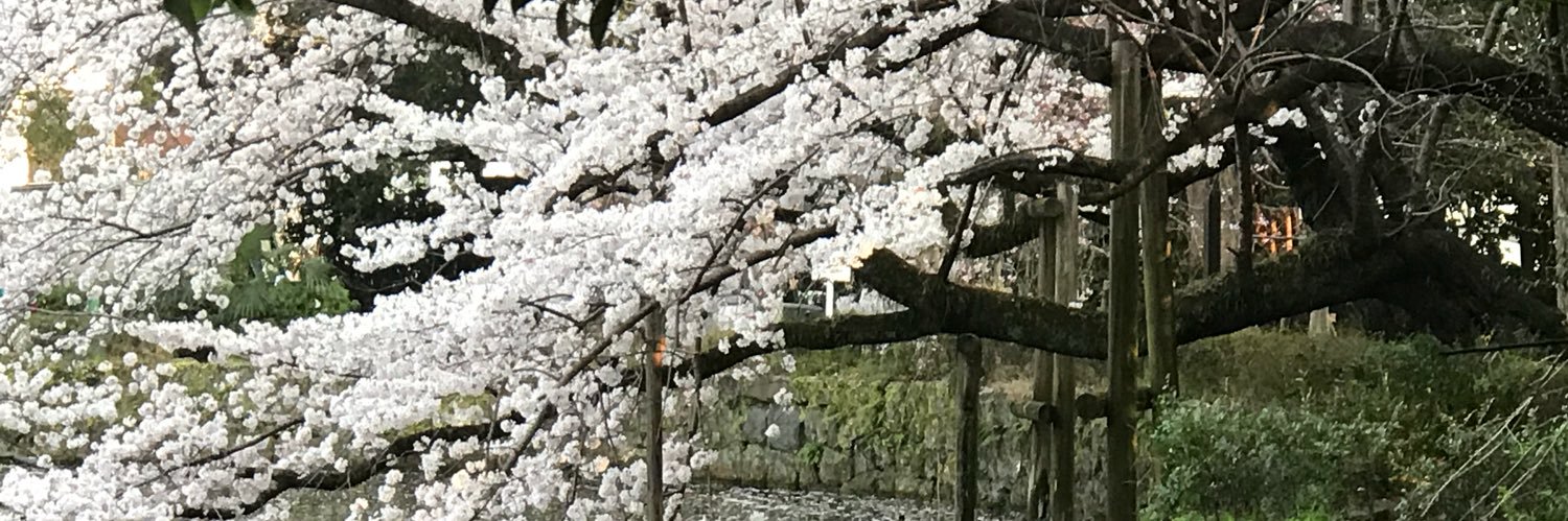 erihaoreno's profile banner image