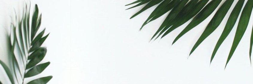 b_tricee's profile banner image