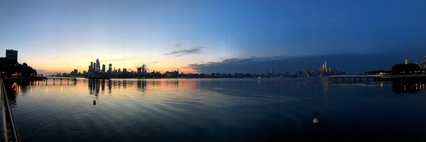 Nicole Dingley banner