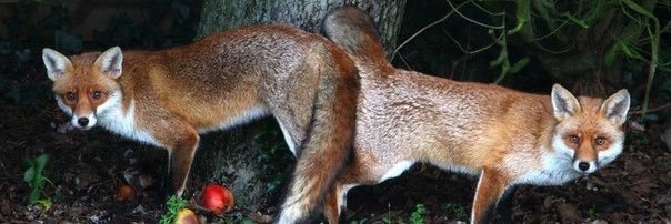 vanceyou's profile banner image