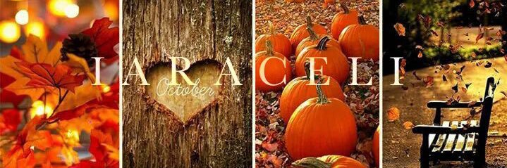 i_araceli_'s profile banner image