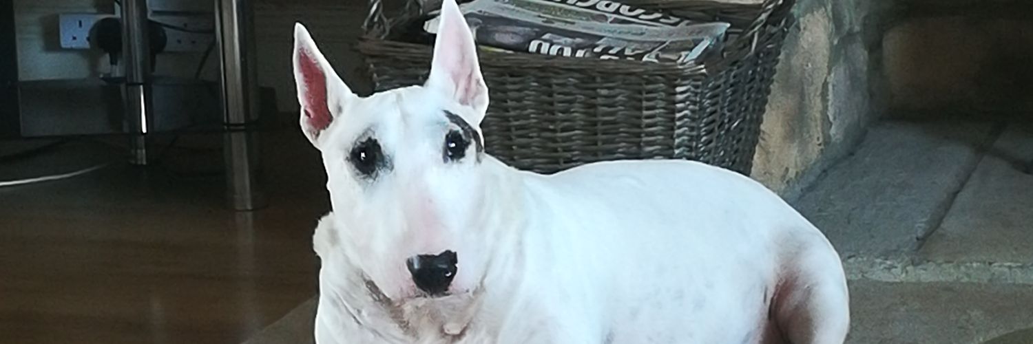 hyperkev69's profile banner image