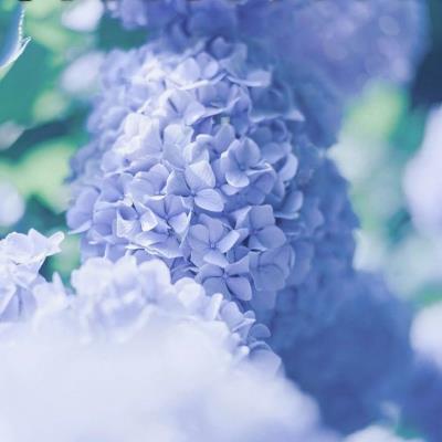 ule_scuba's profile banner image