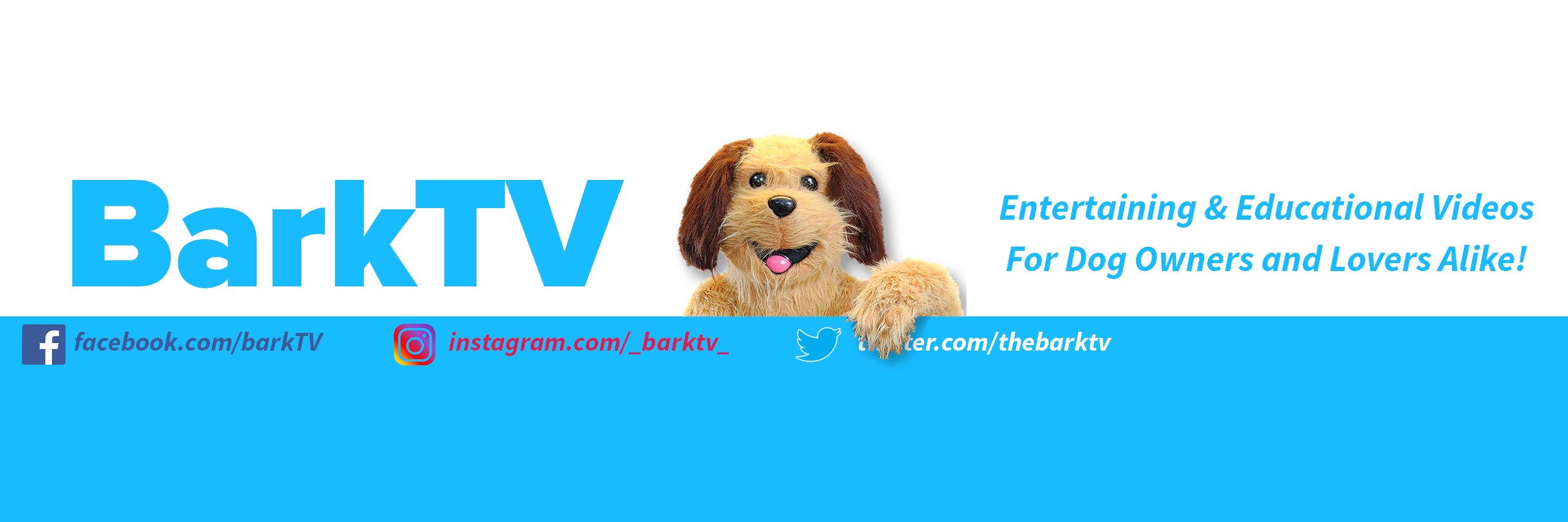 theBarkTV's profile banner image