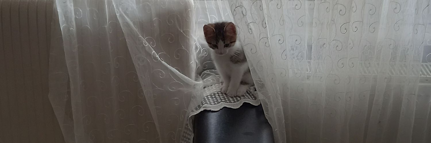 FB1907erdogan banner