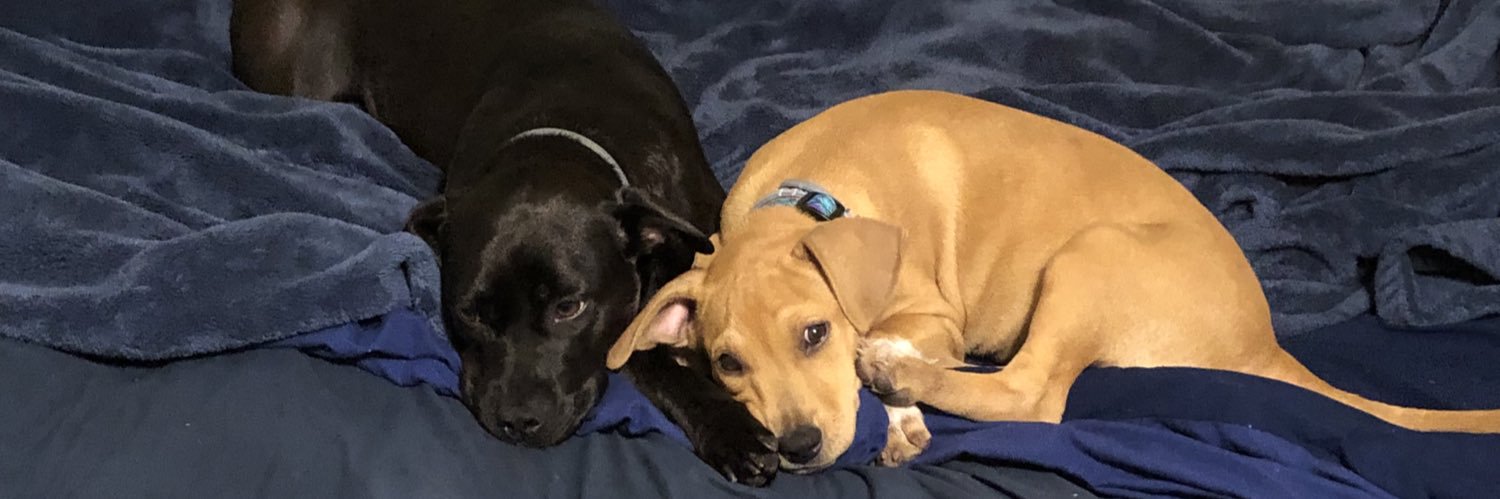 doublestuff's profile banner image