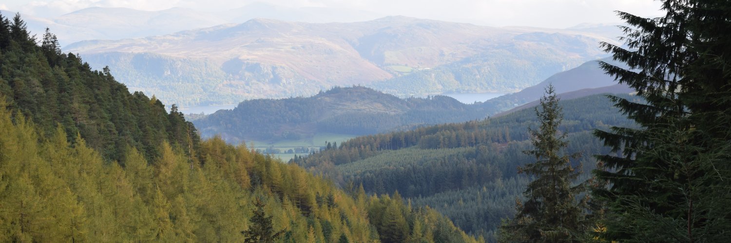 Forestry England banner