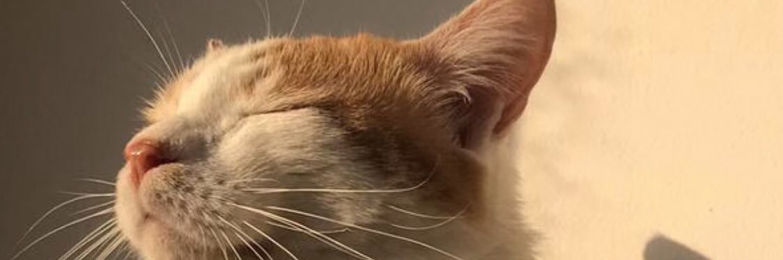 FelipeBa12's profile banner image