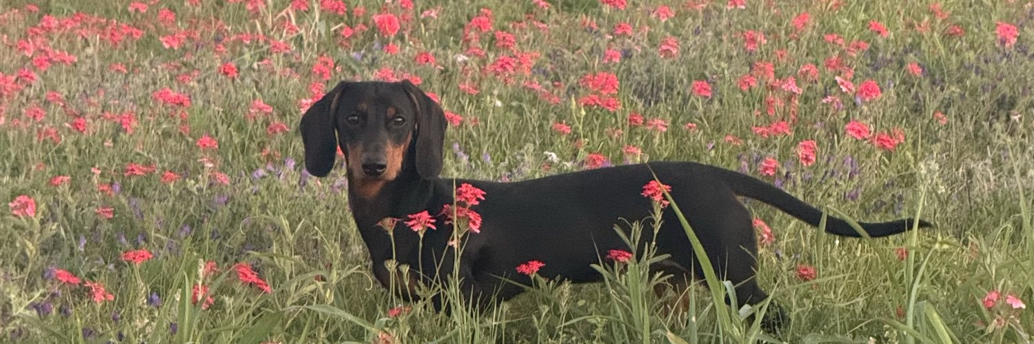 valeeluque15's profile banner image