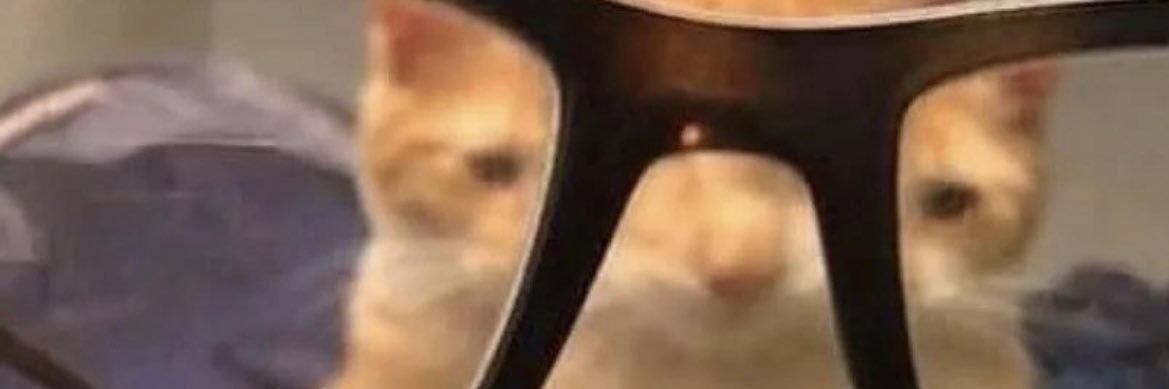 WhoWantsCookies's profile banner image
