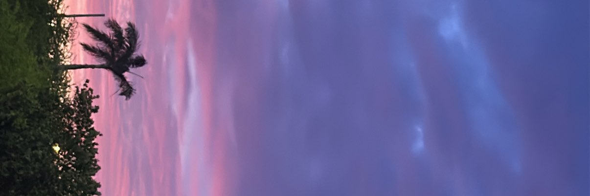 Zualvarezp's profile banner image