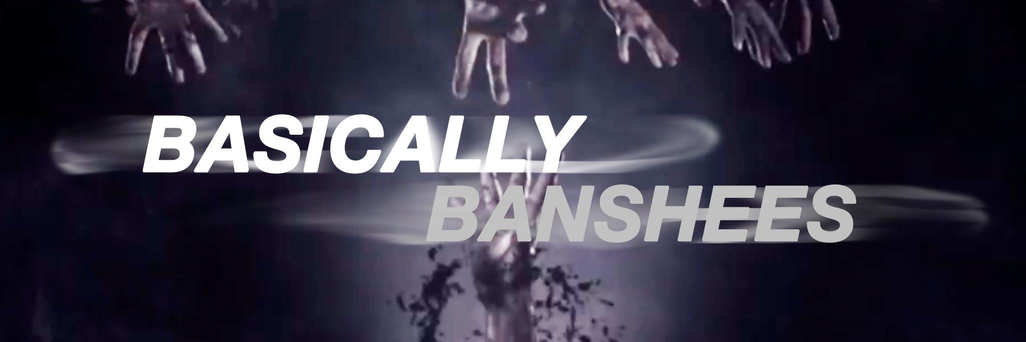 B_Banshees's profile banner image
