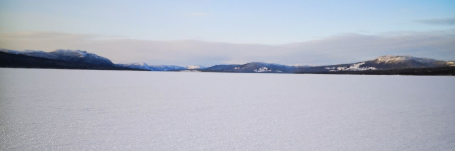 tethaberg's profile banner image
