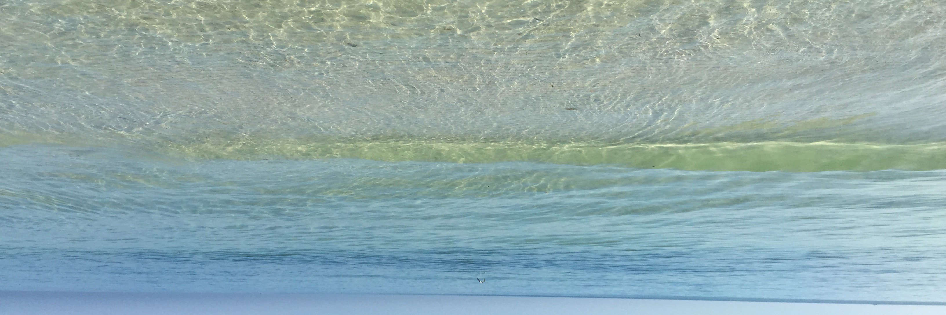 emilyfishnchips's profile banner image