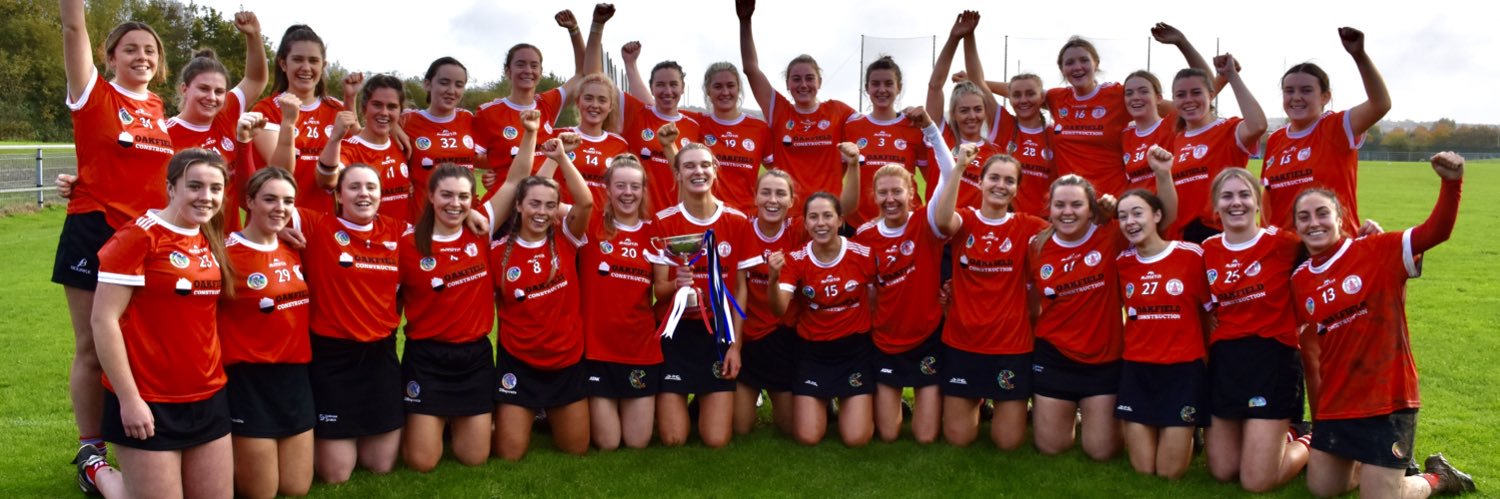 Seandún Camogie banner