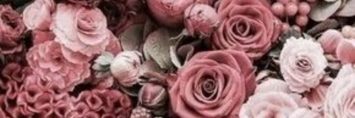 Simply_Moloko's profile banner image