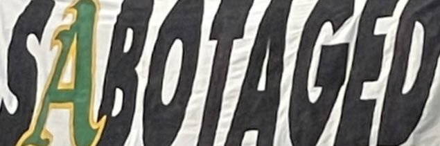 cvc____'s profile banner image