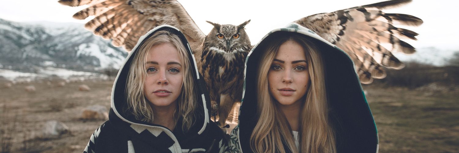 zohimes's profile banner image