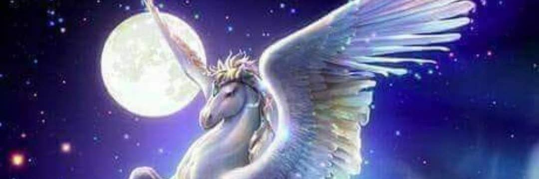 sariyer2's profile banner image