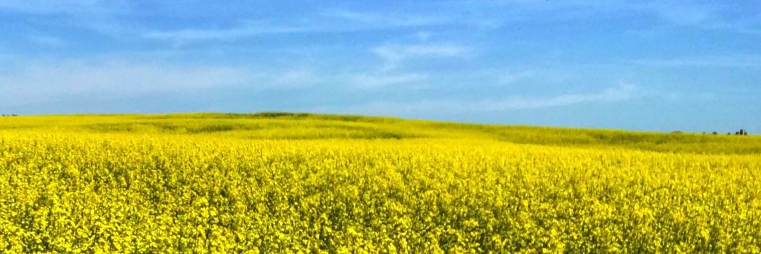 ScottH456's profile banner image