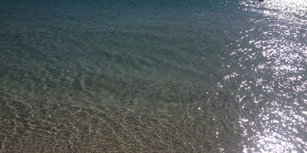 Fernanda Brum banner