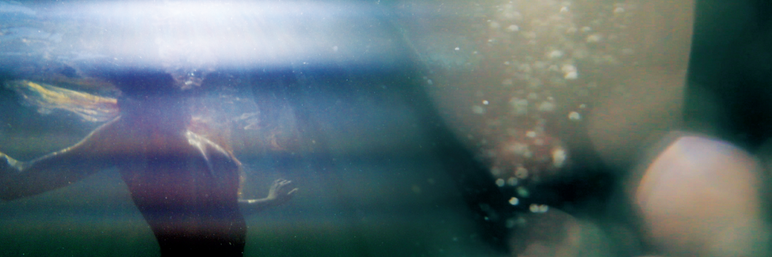 NativeRosesUK's profile banner image
