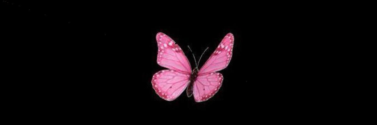 isabellarealaccount banner