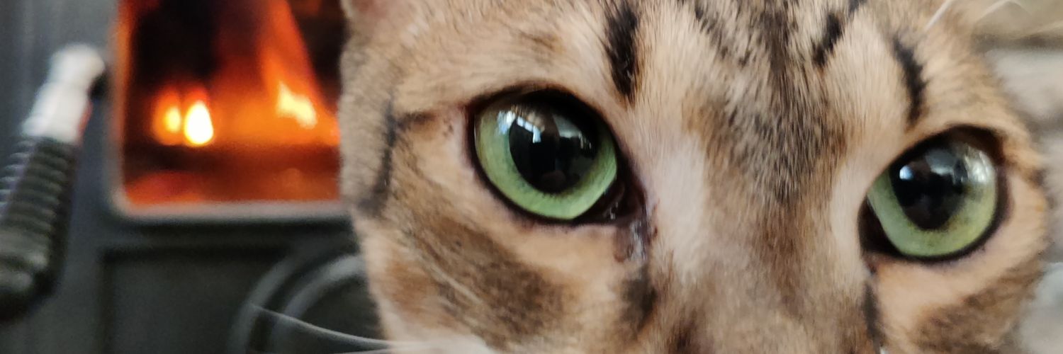 martinives's profile banner image
