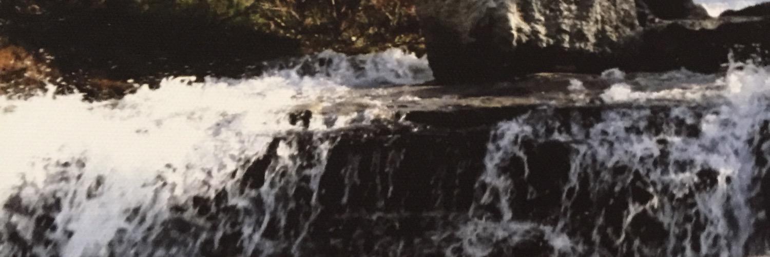 JesseMMJ612's profile banner image