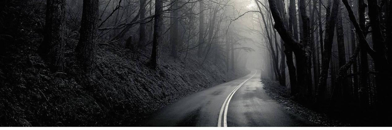 Dawn197666's profile banner image