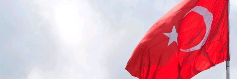 1ginger0's profile banner image