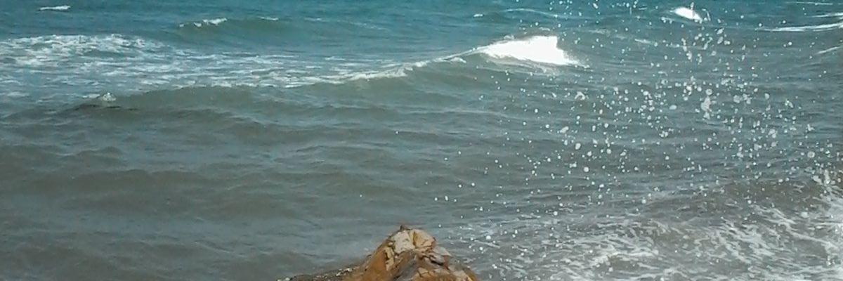 AAyseay's profile banner image