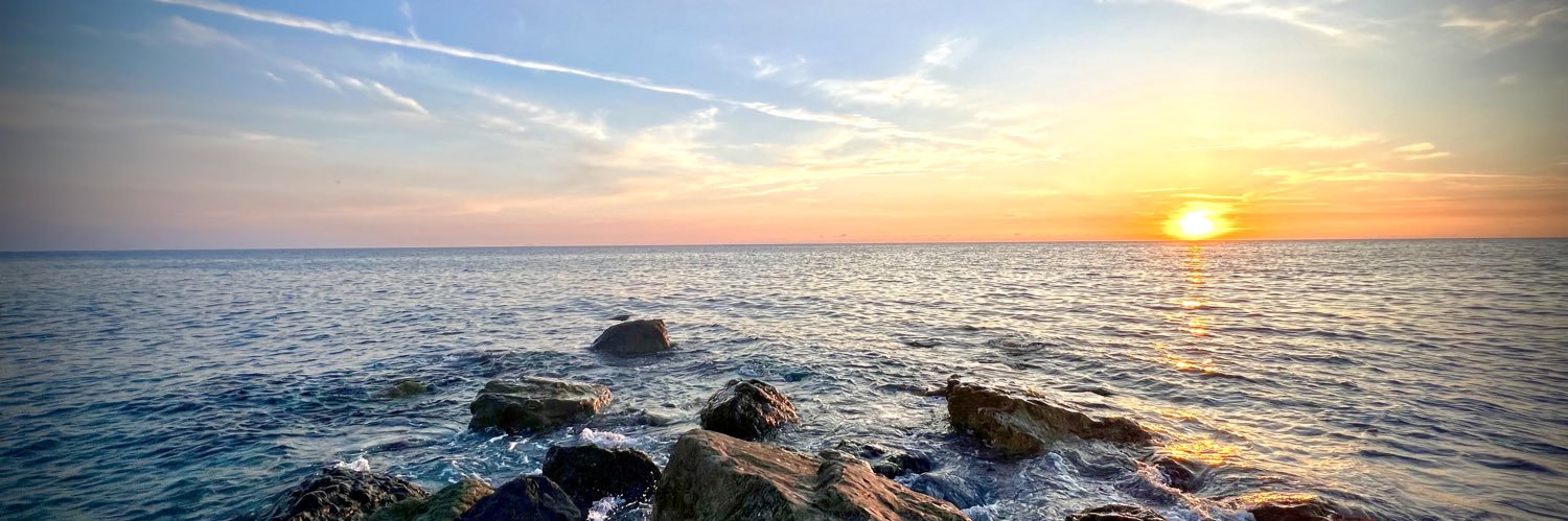 peppovic's profile banner image