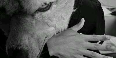 aron_ray's profile banner image