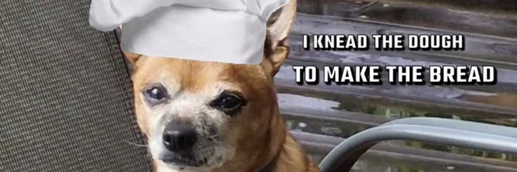 dj ēļřāffő banner