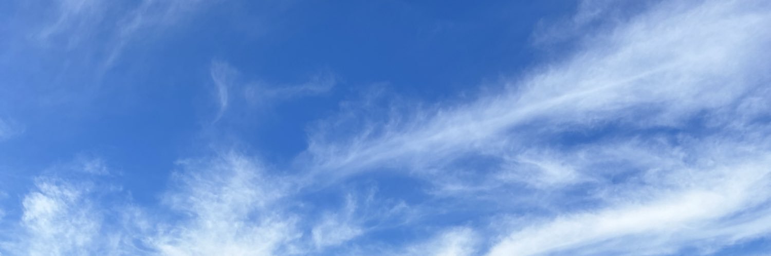 Buse 🇹🇷 banner