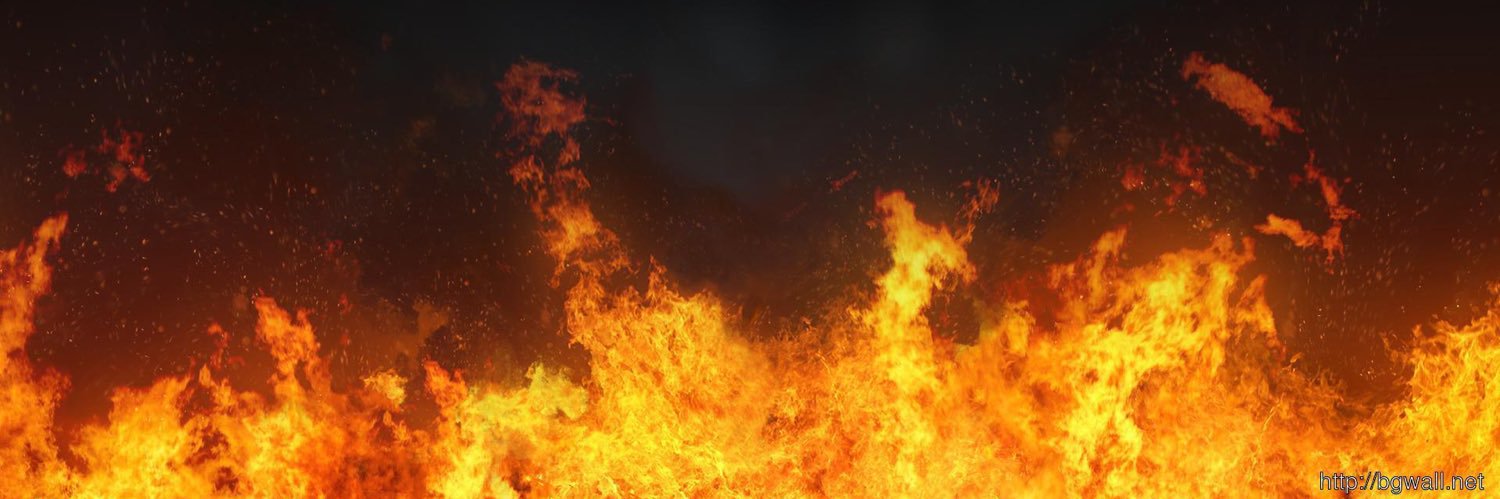 fauxamor's profile banner image