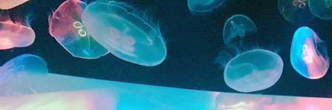 mam180's profile banner image