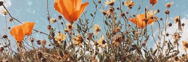1ucyyyyy's profile banner image