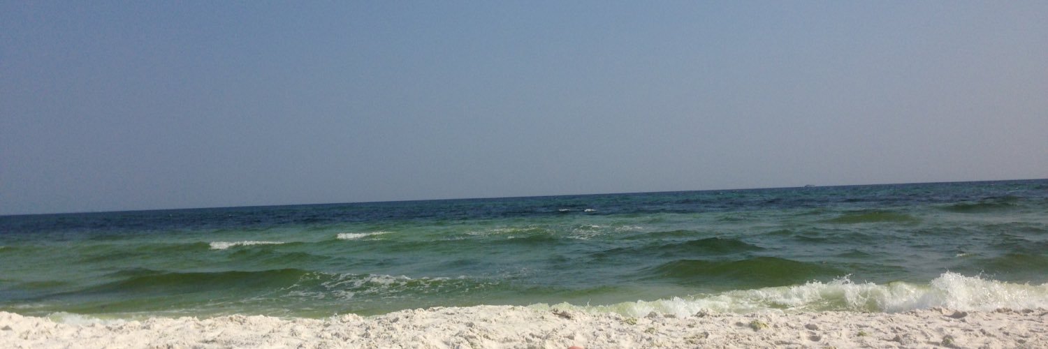 sylindarawlins's profile banner image
