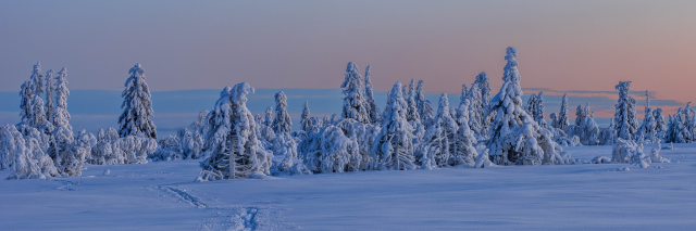 hans_q's profile banner image