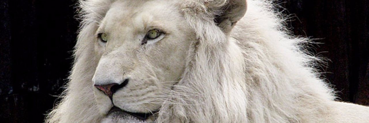 leogarra_de's profile banner image