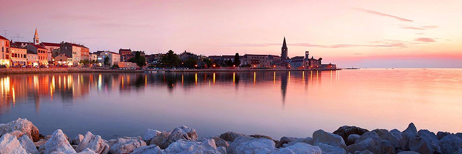 Damir Baranašić banner