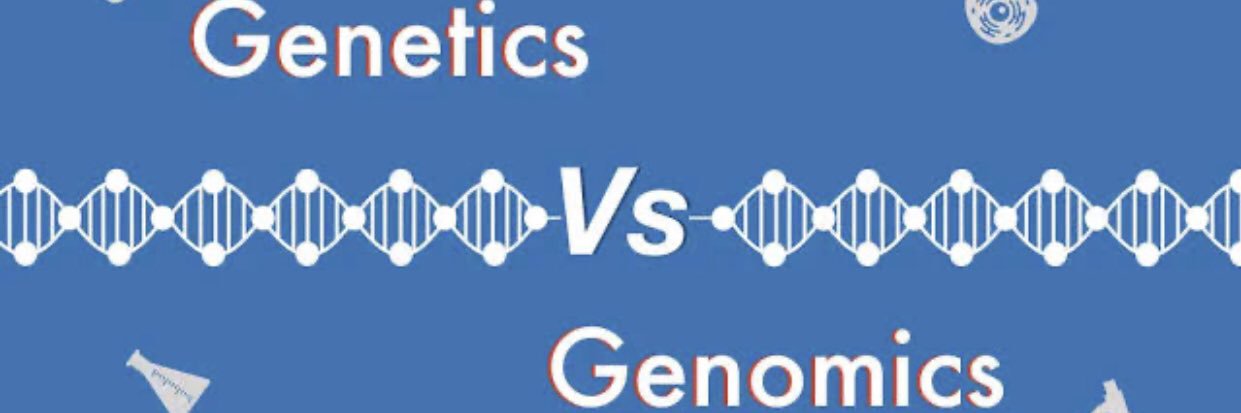 Young Joseph #MiddleBeltan #followJesus #Academic banner