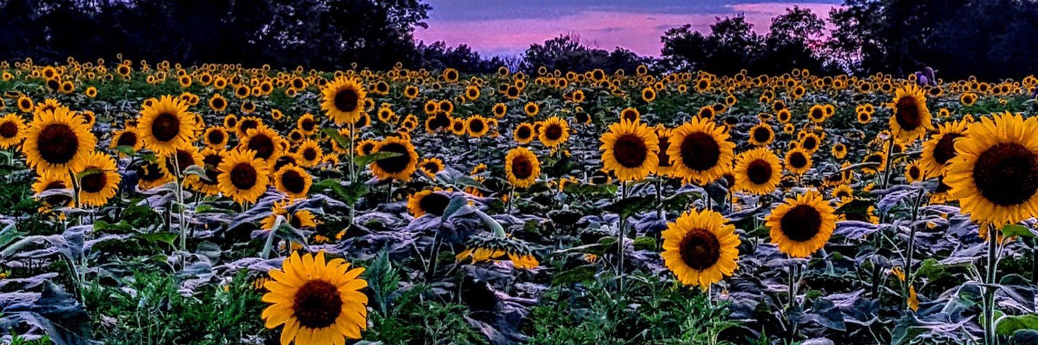 be_lenm's profile banner image