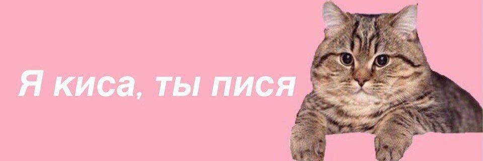 Zaffa__'s profile banner image