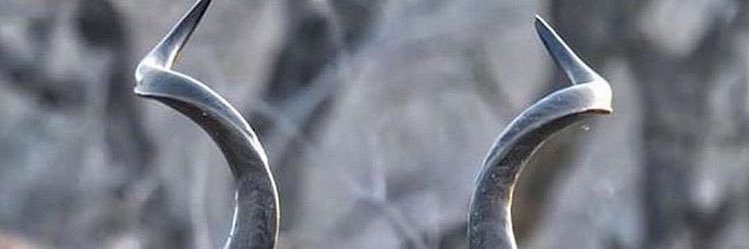 αυтнєηтι¢ banner