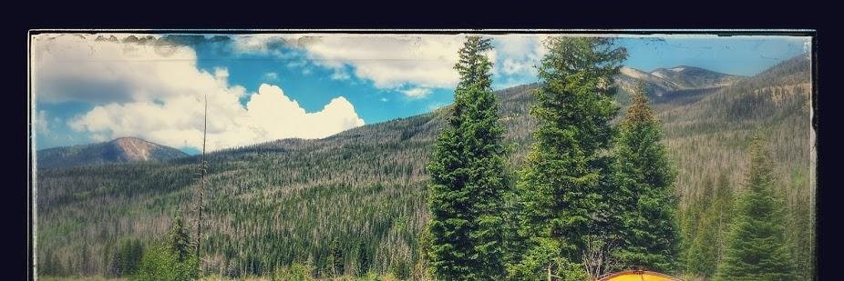GSkrivan's profile banner image