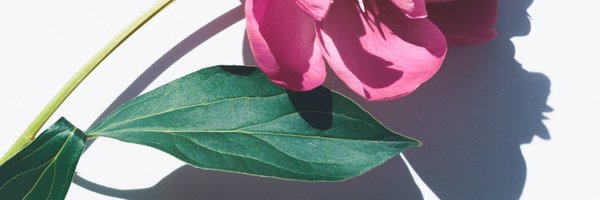 SOLar_Bim Profile Banner