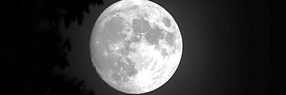 _heatherlynneh's profile banner image